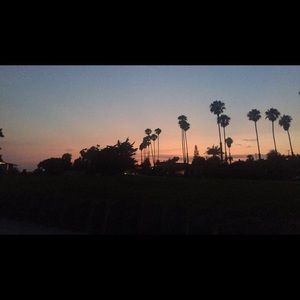 Meet your Posher, Avery